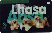 Lhasa Apso - 3/5