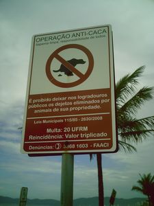 Meia Praia, Itapema