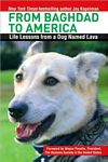 From Baghdad to America: Life
            Lessons from a Dog Named Lava
