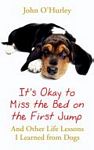 It's
            Okay to Miss the Bed on the First Jump - Hodder Paperback
