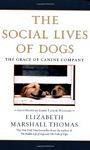 The Social Lives of Dogs