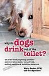 Why Do Dogs Drink out of the Toilet?