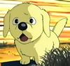 EP 10, 11, 34-35, 39 - Golden
                      Retriever - filhote macho