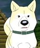 EP 28 - Akita Inu - Co idoso
                       espera de seu dono na estao de trem, histria
                      baseada no real Akita Hachiko, homenageado com 2
                      esttuas no Japo