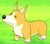 EP 29, 38 - Welsh Corgi
                      Pembroke - Co sbio, ele percebe que Freddy 
                      especial