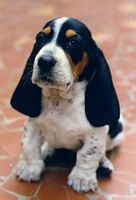 Yet a baby, so cute!