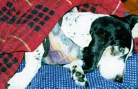 Old citizen napping...