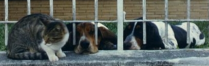 We in 'jail', she is free...