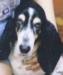 See how cute I am!