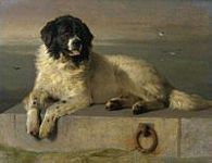 'A
        Distinguished Member of the Humane Society' - 1838