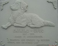 Catatau