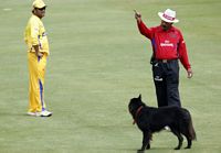 c&atilde;o