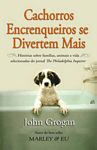 Cachorros Encrenqueiros Se
            Divertem Mais