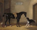 Horse and dog