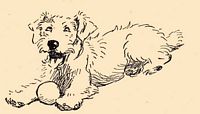 Bunch by
                    Cecil Aldin